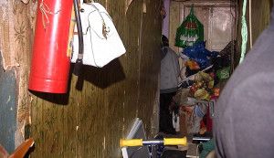 Тараканы, клопы и мухи в одном из домов Элекростали (видео)