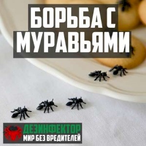 Уничтожение муравьев в Вологде