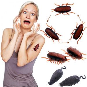 Блаттофобия - иррациональный и стойкий страх перед тараканами