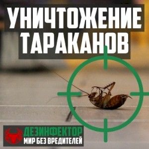 Уничтожение тараканов в Череповце