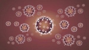 Сколько живет коронавирус на разных предметах.