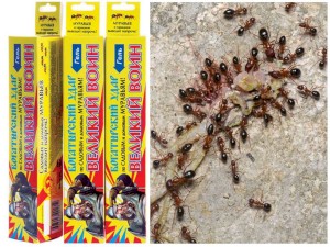 Средства от муравьёв в квартире и частном доме: эффективные инсектициды и народные методы.