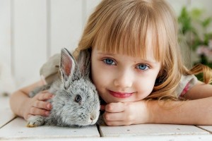 Блохи у кролика. Средства от блох у кроликов: капли, ошейники, таблетки, народные средства.